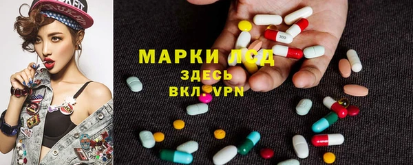 экстази Арсеньев
