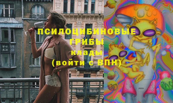 дурь Аркадак