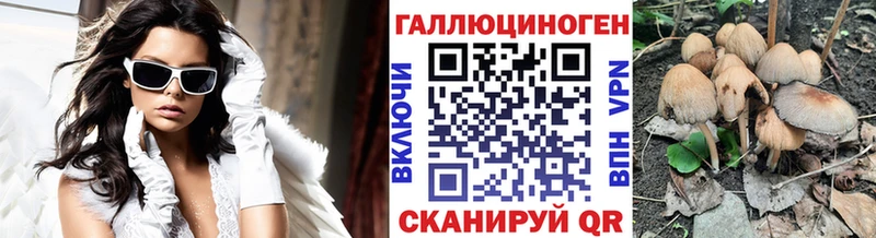 Псилоцибиновые грибы Cubensis  Сосновый Бор 