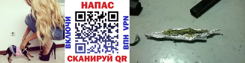 наркота  Сосновый Бор  Марихуана план 